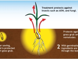 seed treatment FAQ