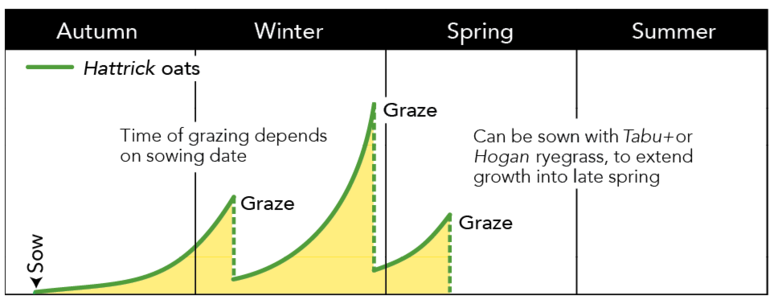 Pg 152 - Hattrick oats  - graph.png