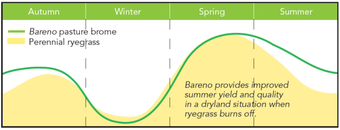 Pg 34 - Bareno brome - Seasonal growth - table.png