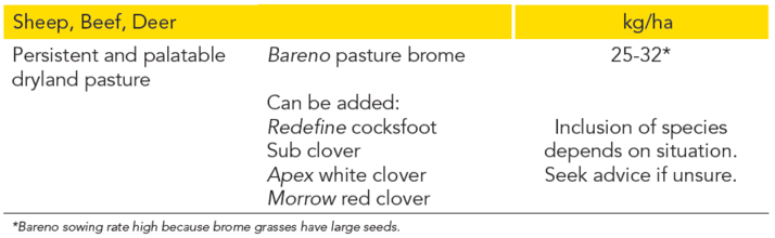 Pg 34 - Bareno brome - Sowing Bareno - table.png