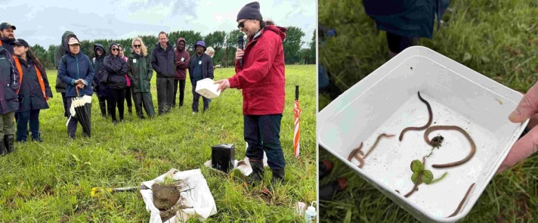 2 PICs – ONE OF EARTHWORMS (1).jpg