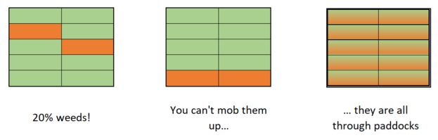 Diagram 1.png