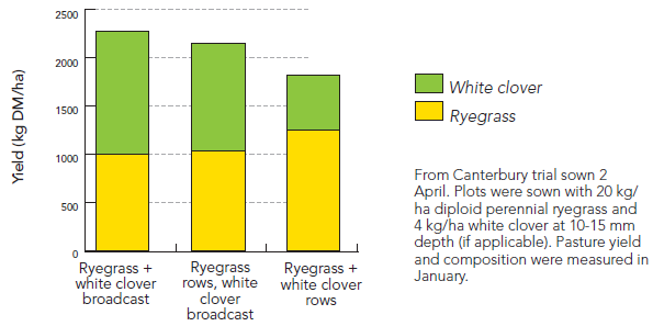 Pg 108 - Maximising white clover - sowing method & clover - graph.png