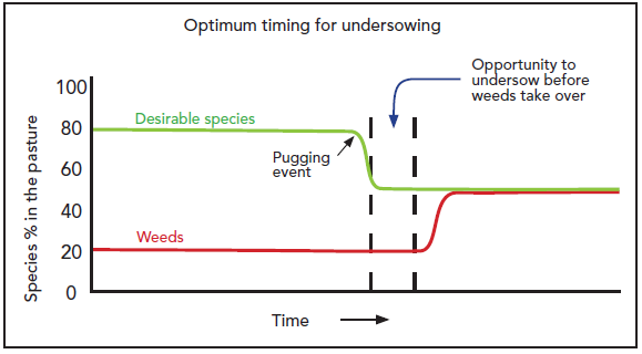 Pg 114 - Managing pasture in wet conditions - Restoring pugged pastures - Diagram.png