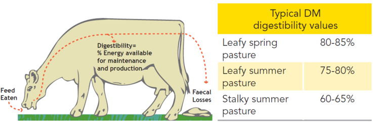 Pg 120 - Pasture feed value - Dry Mater digestibility - Image Table.png