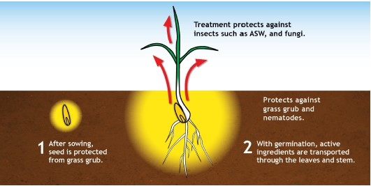 seed treatment FAQ