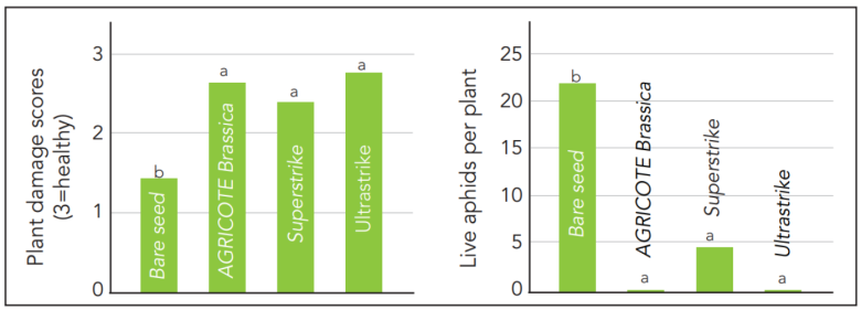 Brassica Agricote graph 2