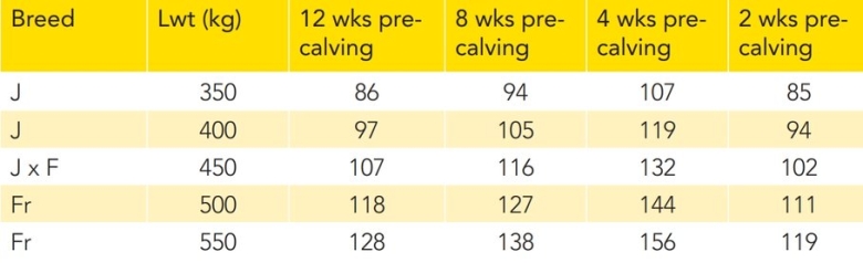 Cow requirements brassica.jpg