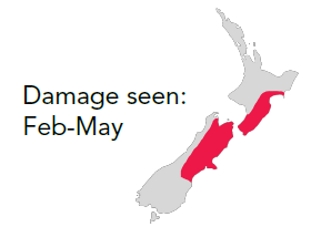 PMB nz