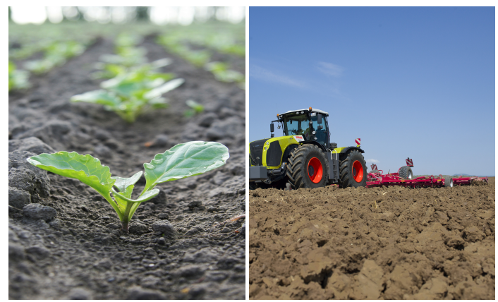 Rotate crops