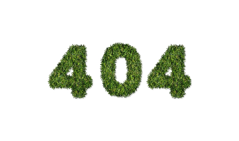 404