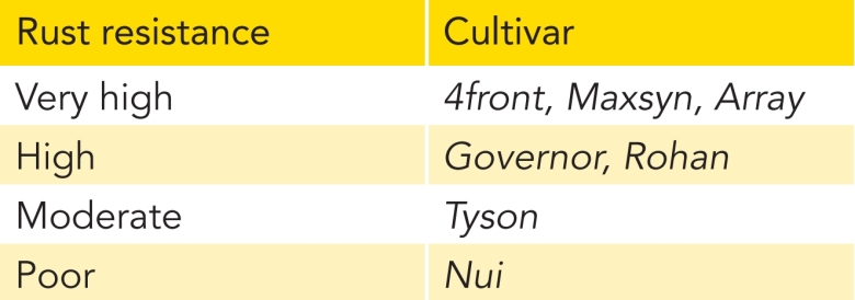 CR Table