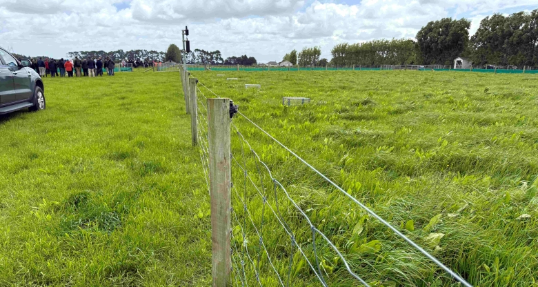 pastures_-fence_-_img_4028.jpg