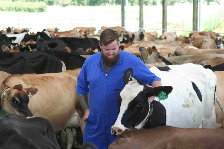 Logan Array herd SM