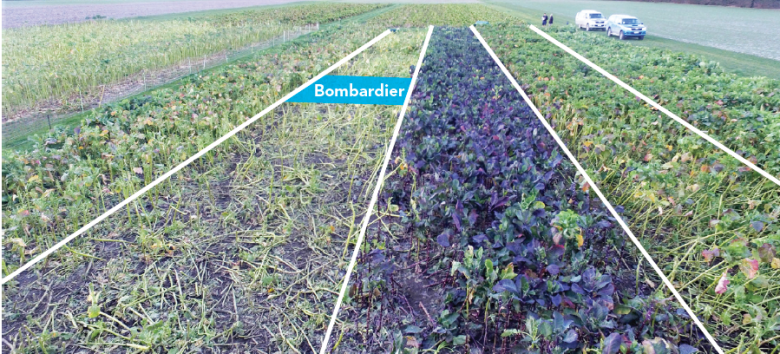 bombardier_photo_.png
