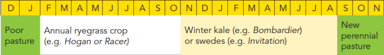 kale or swedes