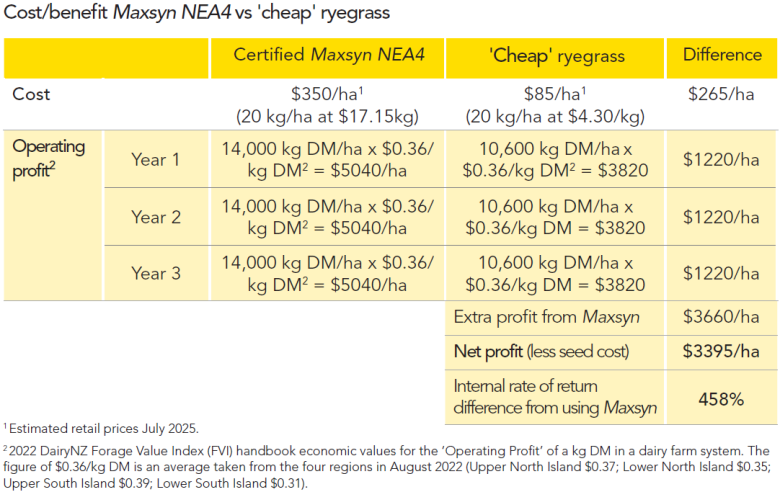 maxsyn v cheap