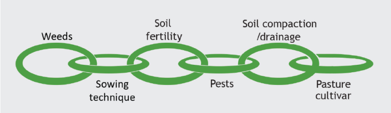 pasture renewal links