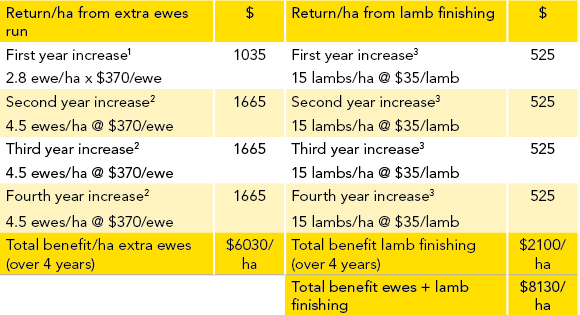 sheep example