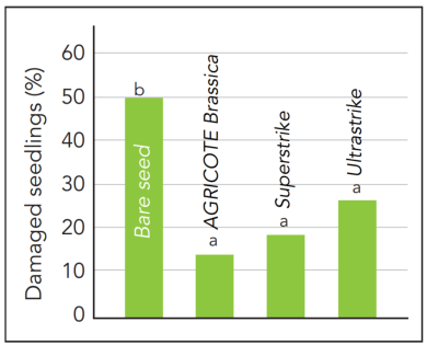 Brassica Agricote graph 1