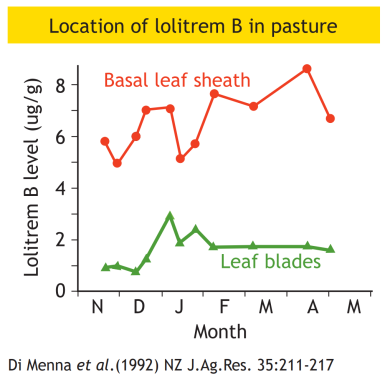 Location of lolitrem B in pasture