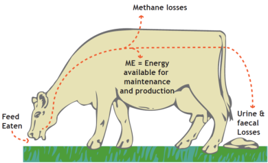 Pg 120 - Pasture feed value - Metabolisable engergy (ME) - Image.png