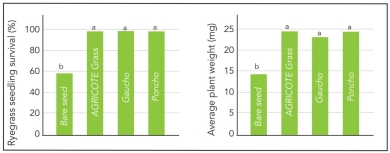 GG graph