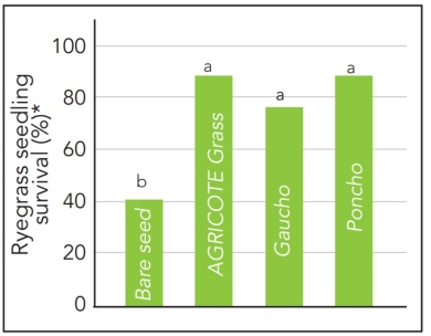 BB graph