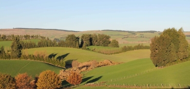 Southland-June-2011_14WEB - Copy.jpg