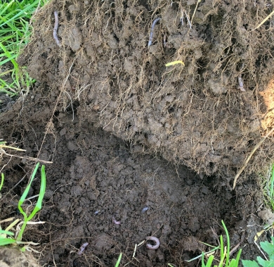 soil-structure-e1743730526740.jpg