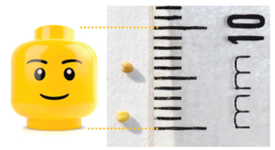 lego head