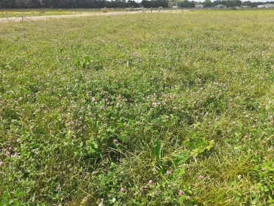 Fescue paddock