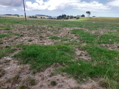 kikuyu_patches_in_ryegrass