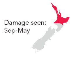 FA damage
