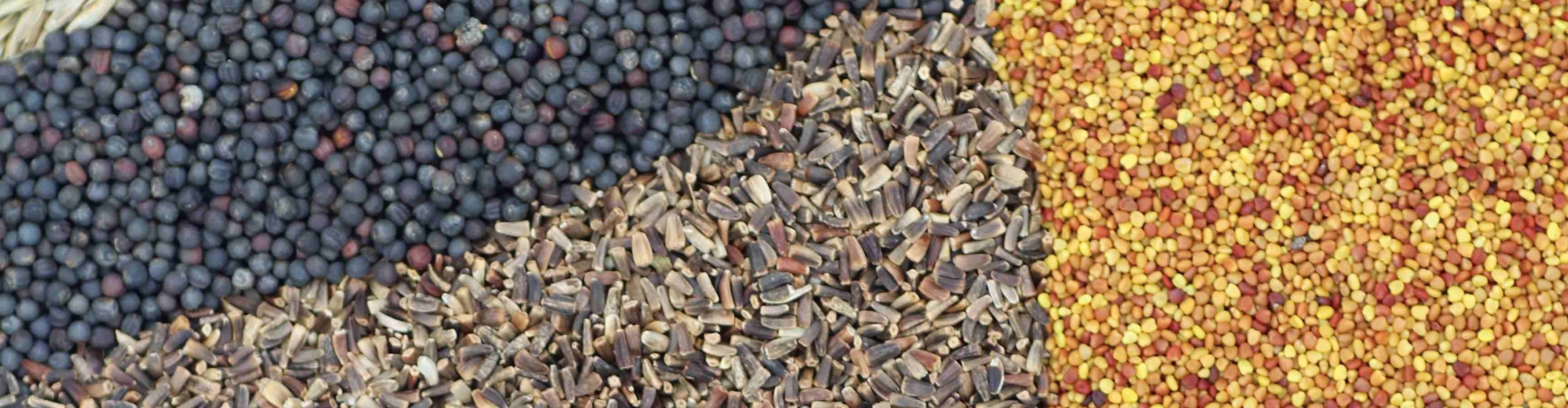 Seed varieties landscape