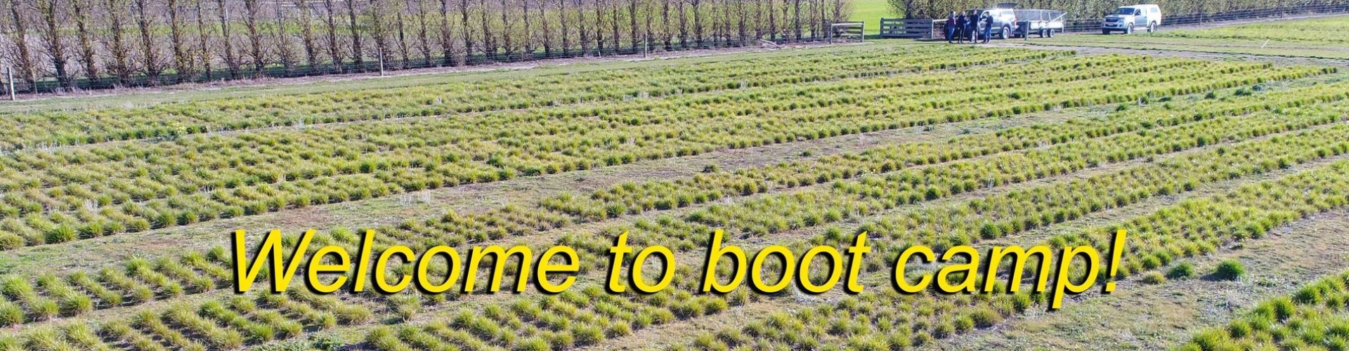 2019-Clonal-rows-(20)_modified---Writting 2.jpg