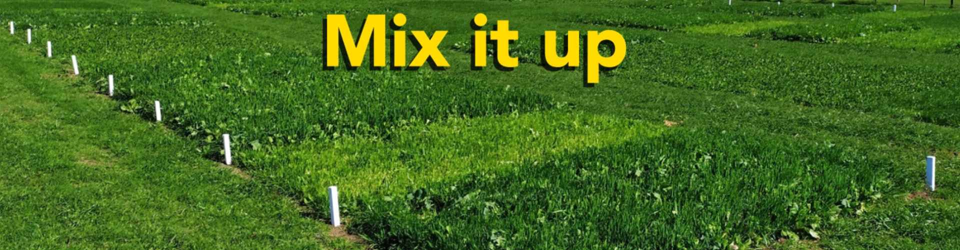 April-Banner.jpg
