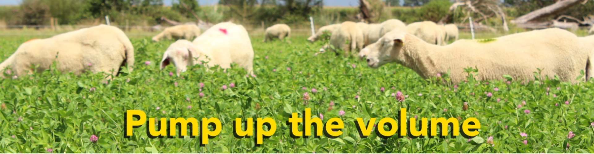 March-Banner.jpg