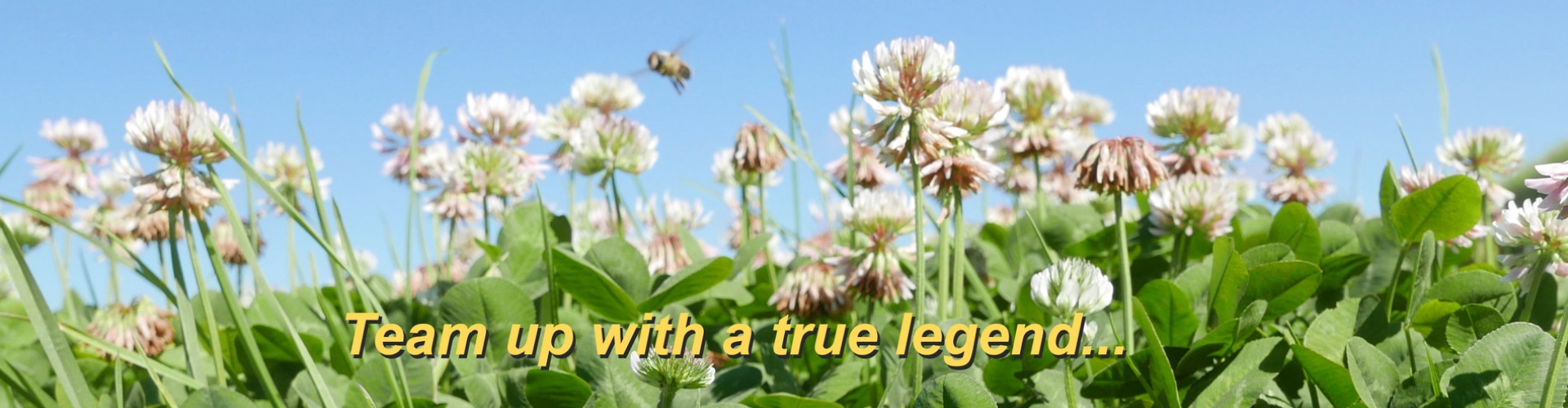 Top article banner picture_with text.jpg