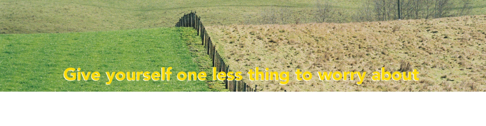 Top banner with writting March.jpg