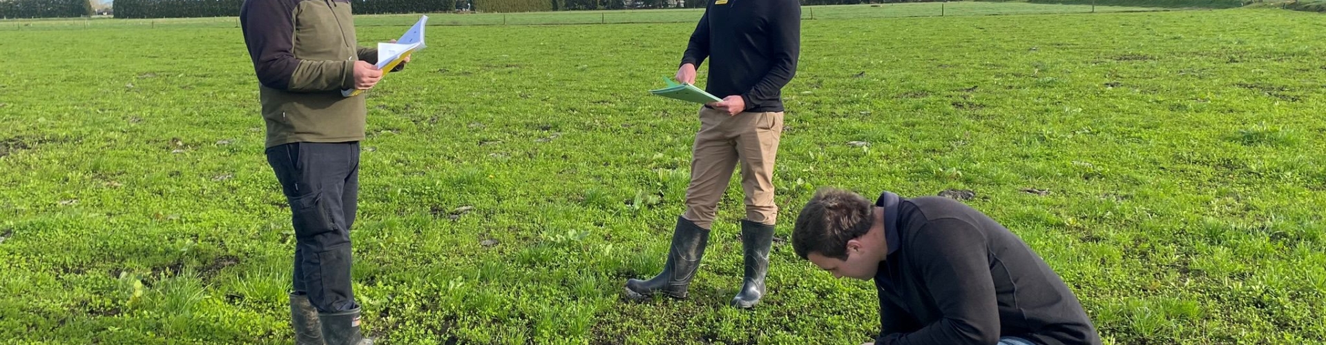 wet-pasture.jpg