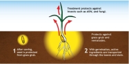 Seed treatment FAQ's