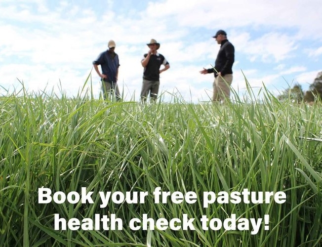 Pasture-health-check-Website-small-image.jpg