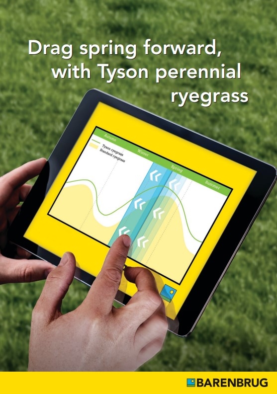 tyson 