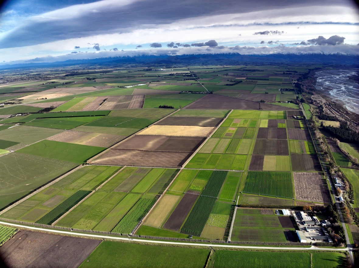 Barenbrug NZ drone view 2025