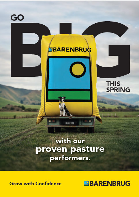 spring_booklet_2025_thumbnail.png