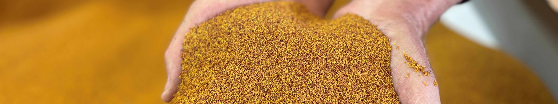 Seed treatment in hands